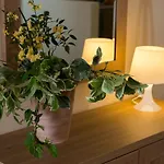 Appart hôtel Porto Xronia Khrónia
