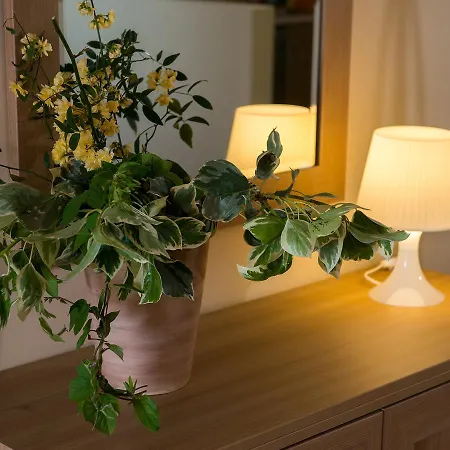 Ξενοδοχείο με διαμερίσματα Porto Xronia Χρόνια